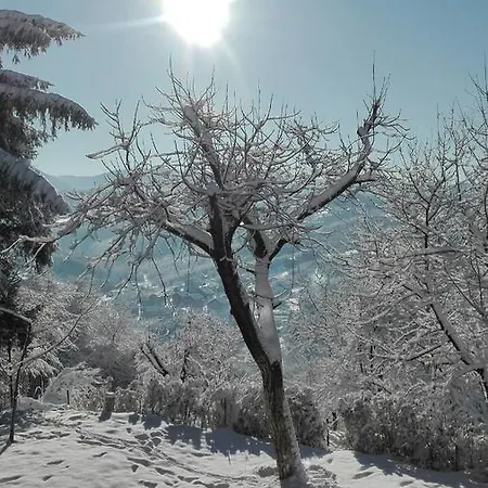 Soulrest Appartement